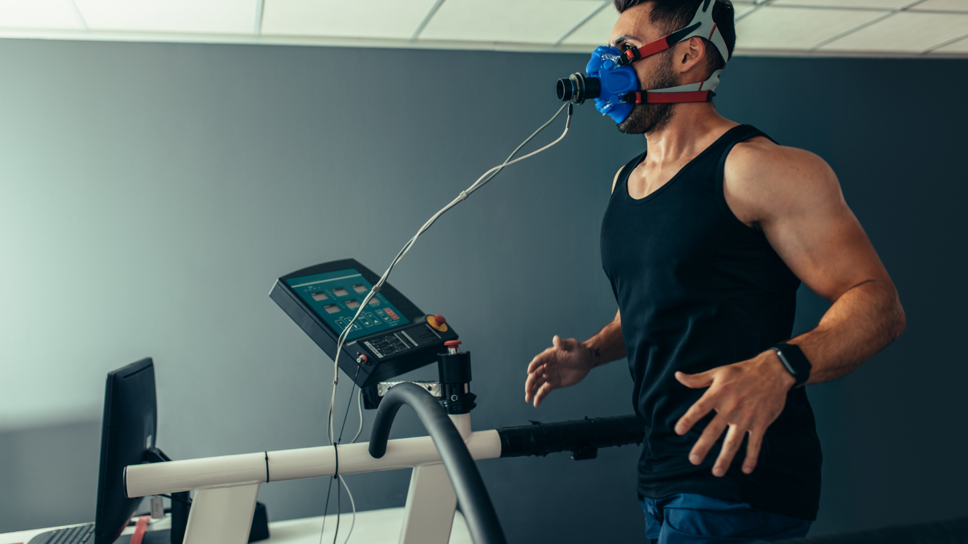 VO₂ Max Training: The Science, the Zones, and What Samit Learned From ...