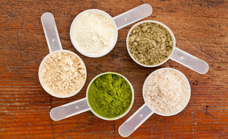 Plant Protein vs. Whey Protein: What's better for you?