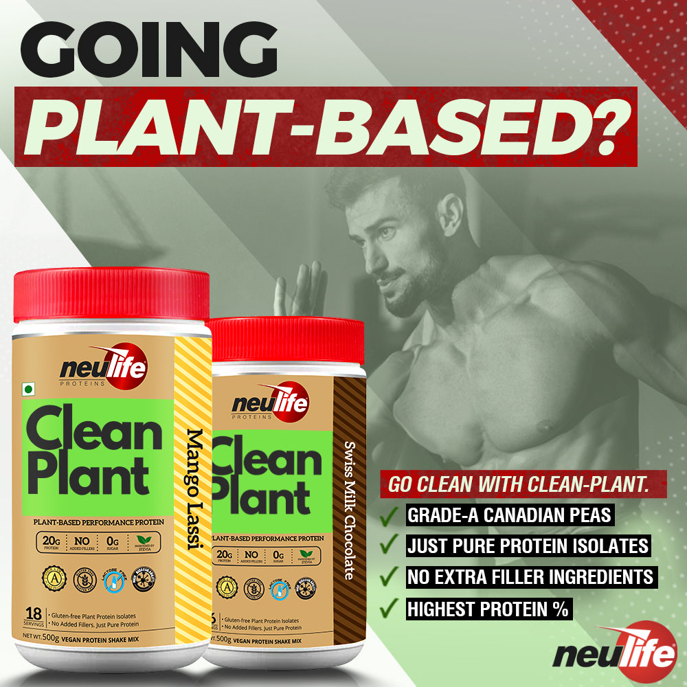 Clean Plant | Filler-free 100% Plant Protein Isolate
