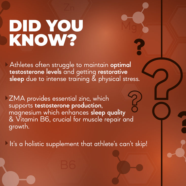 ZMA- Zinc-Magnesium-B6 | Recovery & Male Support (60 tablets)